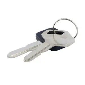 IGNITION KEYS [2]