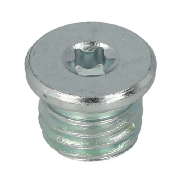 SCREW PLUG