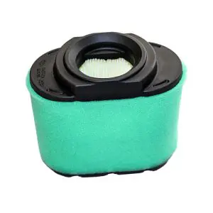 FILTER-AIR CLEANER CA