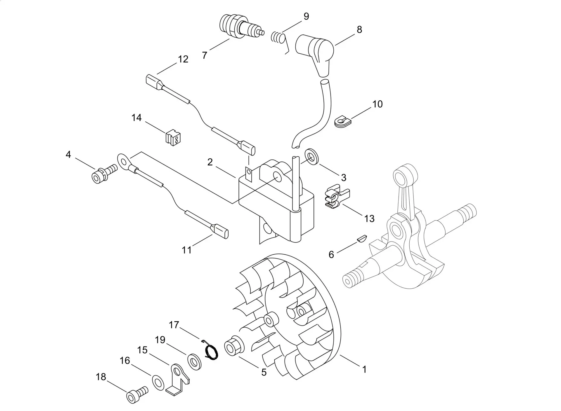 3100 Echo CS420ES (38000001 to 38999999) - Magneto