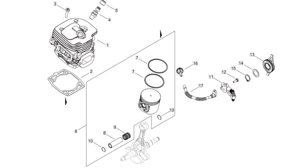 Capture Echo CS7310SX (38000001 to 38999999) - Cylinder, Piston