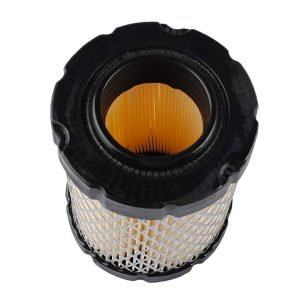 FILTER-AIR CLEANER CA