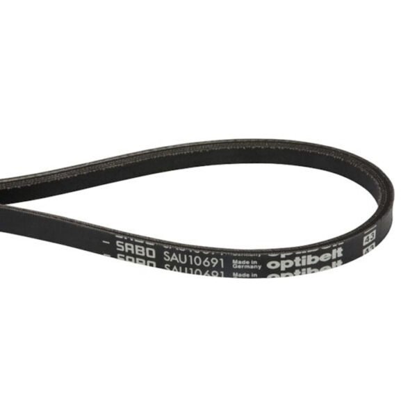 SAU10691