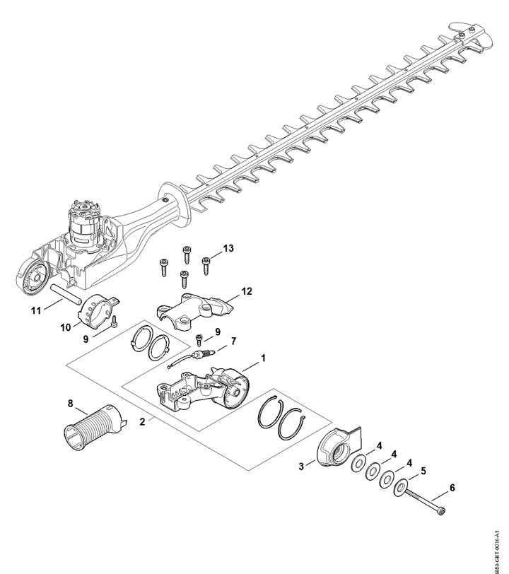 HLA 85